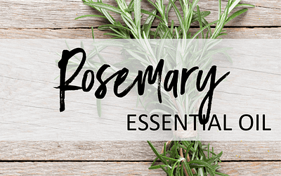 Rosemary Essential Oil – Uses & Benefits