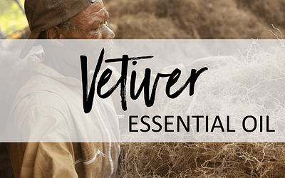 Vetiver Essential Oil – Uses & Benefits