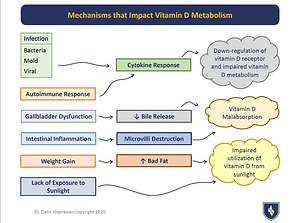 Vitamin D metabolism