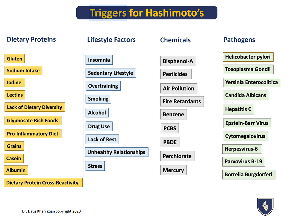 triggers for hashimoto's
