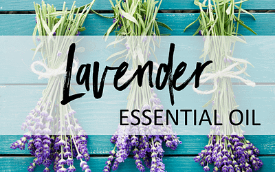 Lavender Essential Oil – Uses & Benefits
