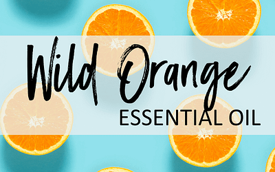 Wild Orange Essential Oil – Uses & Benefits