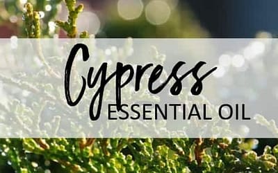 Cypress Essential Oil – Uses and Benefits