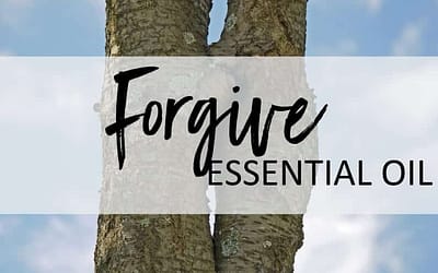 Forgive Essential Oil – Uses and Benefits